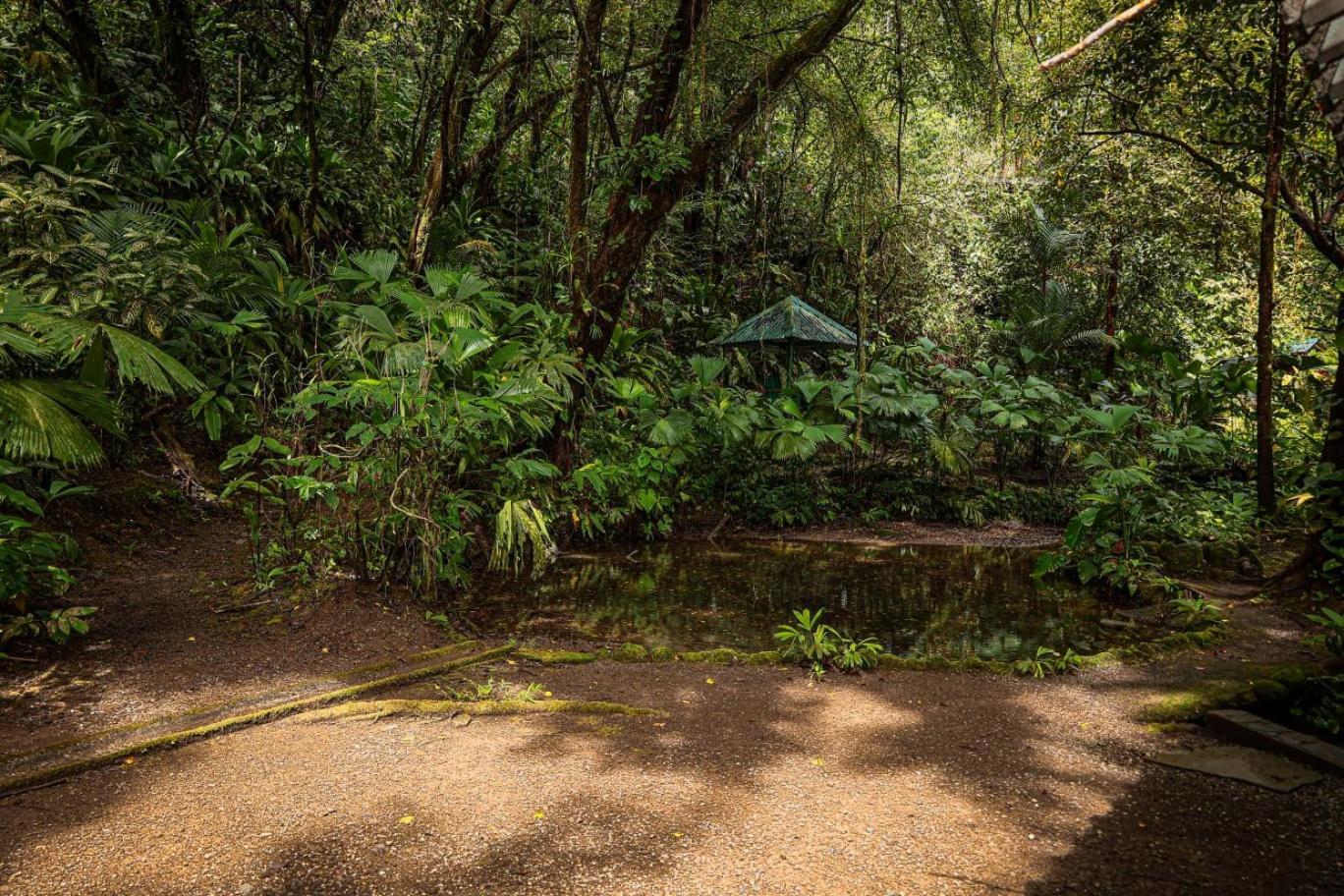 Santa Juana Lodge & Nature Reserve ケポス エクステリア 写真