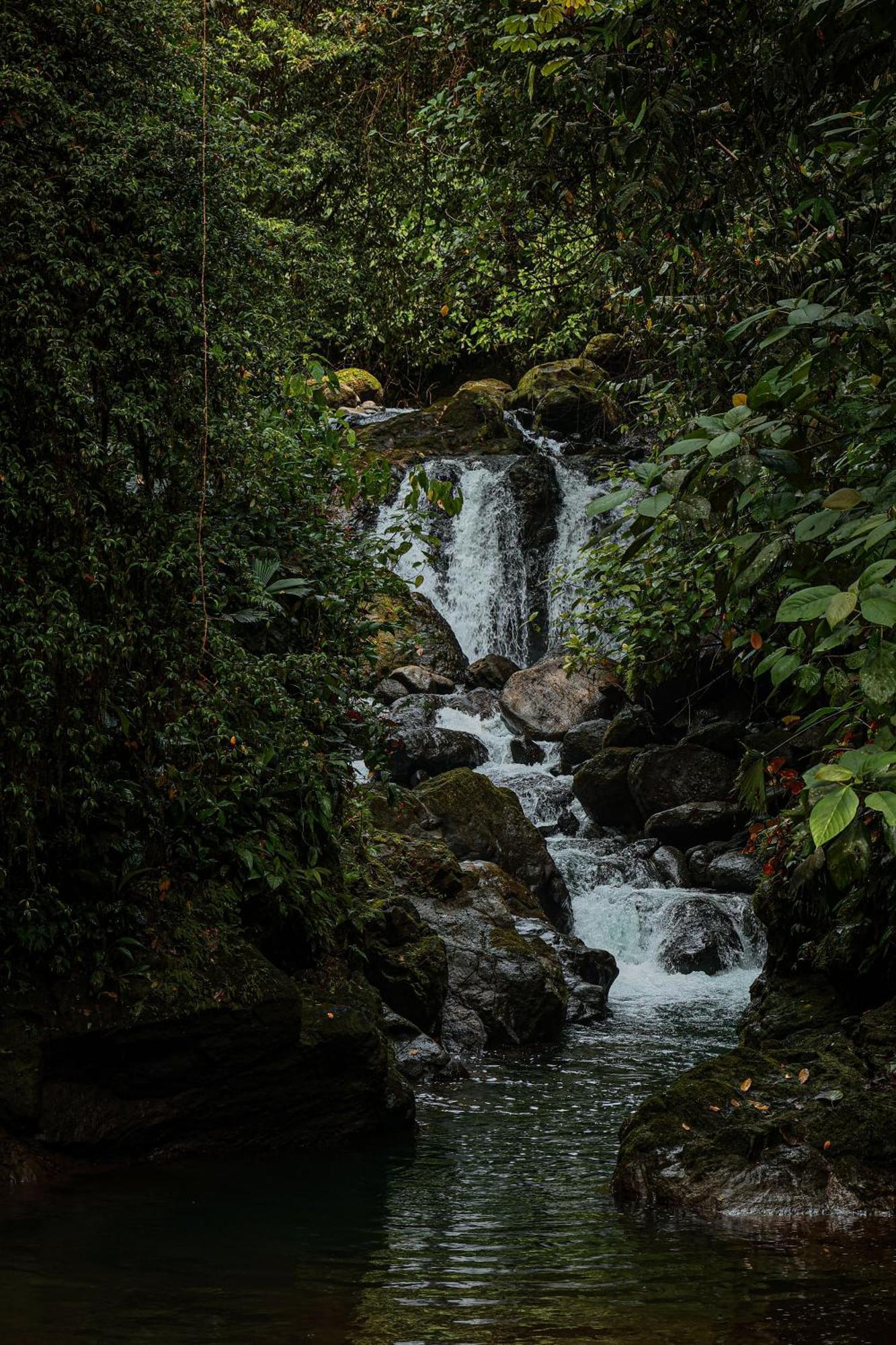 Santa Juana Lodge & Nature Reserve ケポス エクステリア 写真